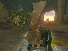 왕국의 눈물(티어즈 오브 킹덤) 탐험기 - 3 -