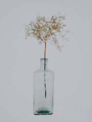 유리병 안의 서신