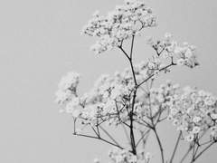 위험한 연애를 시작해 버렸어요...! 09