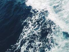 바다에 쓸려버리다