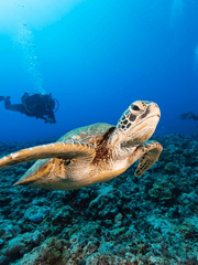 닌거 적폐의 장