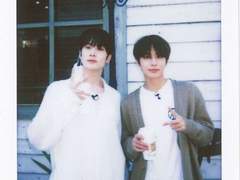 걸어 들어온 고양이에 박힌 강아지 썽낸다