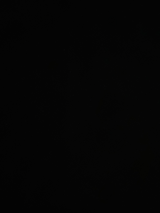 쓰리정파 라이프타임