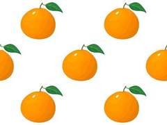 [부홋] 귤은 육지의 꿈을 꾼다