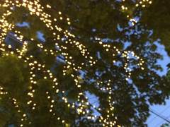 한여름 밤의 꿈