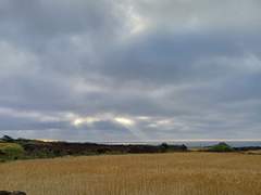 하아 인생이란 말이죠
