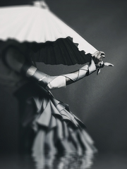 박씨(의)부인전