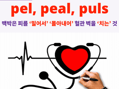 pel, peal, puls