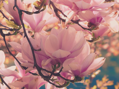 [임검임] 트위터 썰백업: 소풍가는 임검임