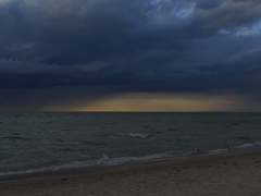 백만송이 장미꽃을 나랑 피워볼래