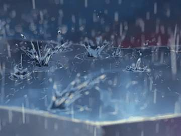 [마이타케] 모습