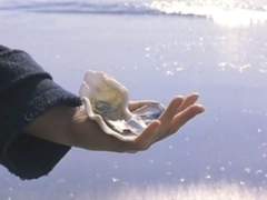 [슬램덩크/서태웅] 태웅이에게 (3)