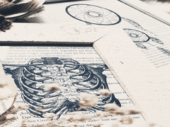 닥터라 불러주세요.