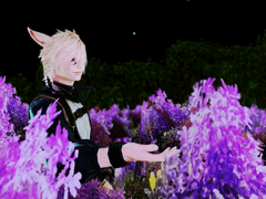 서라남코+지인 스샷 백업