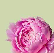 [잇큐아곤] 남자의 첫키스는 무덤까지 간다