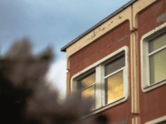 우와! 돌풍고등학교?