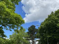 [린다] 5.14 일 | 손을 마주잡고 가야 한다면 (5월 2주)