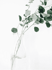 어차피 해피엔딩