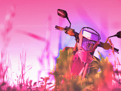 베일리 / XX / 악마