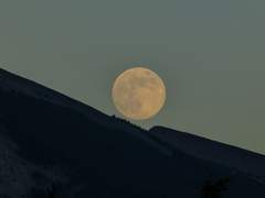 완전한 사랑을 위하여