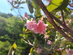 [𝑷𝒓𝒐𝒇𝒊𝒍𝒆] 𝐺𝑒𝑚𝑖𝑡ℎ 𝑂𝑑𝑖𝑙𝑒𝑦 𝐻𝑎𝑟𝑔𝑦