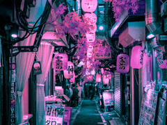 소년이 뛰어간 날짜는 언제인가?