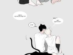 든든한 고양이 친구