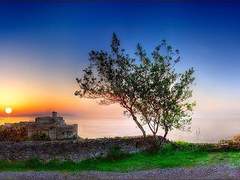 2004년 5월 8일 사주