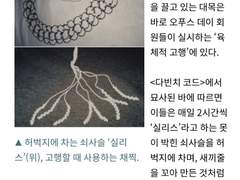 프롤그랭 썰백업