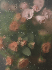 당신의 상실에 관하여