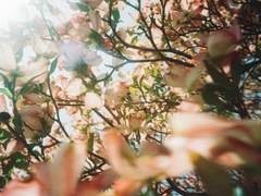 [고죠우타] 09. 눈이 녹으니 온 마을 가득한 아이들 소리[完]