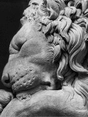 세 번째 갈랫길