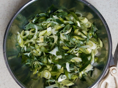 브베 일상 모음 - 파 향기가 좋게 느껴지는 날