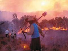 2000년 12월 15일 사주풀이