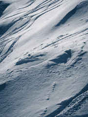 개를 훔치는 방법