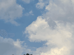 하늘고등학교 ep12