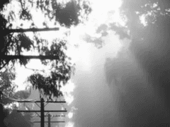 Anyway 후기, Q & A