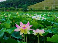 짧썰 모음(2024.03.05 추가)