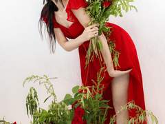 레드피아노 화보 (장미시즌기간동안 ~)