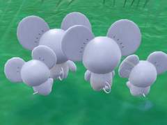 한 달 간 있었던 일들