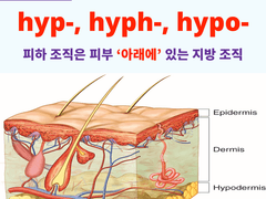 hyp-, hyph-, hypo-