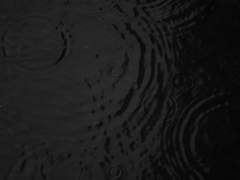 억수가 퍼붓는 길의 묘지기는,