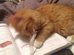 미대 입시생 맞춤 수능 공부법