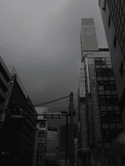 도쿄리벤져스 드림