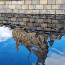 스포츠만화과몰입녀