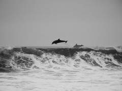 닮은 이를 위한 선택