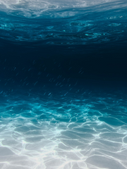 물빛 고래를 삼키는 밤