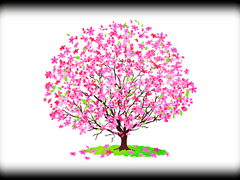 견습 내레이터 윤해봄