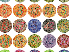 견습 내레이터 Mika Seo