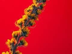 홍하를 등지고,